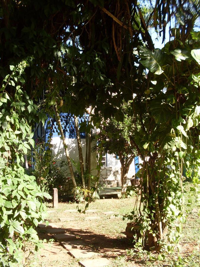 Hotel Fazenda Barra Alegre Sao Jose do Goiabal Zewnętrze zdjęcie