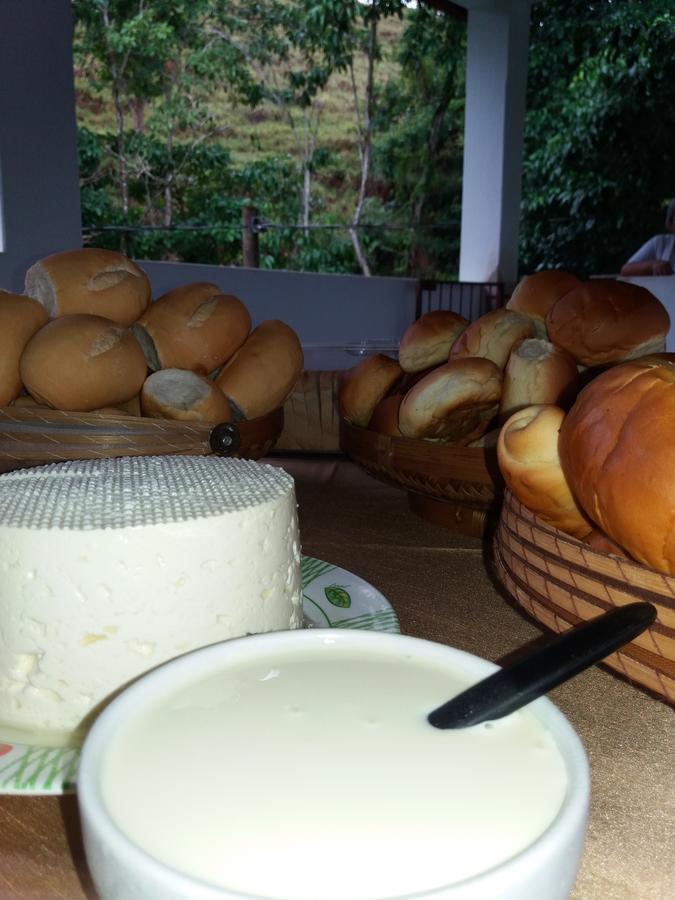 Hotel Fazenda Barra Alegre Sao Jose do Goiabal Zewnętrze zdjęcie